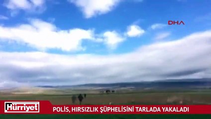 Polis, hırsızlık şüphelisini tarlada yakaladı