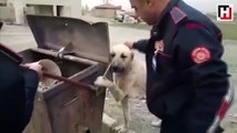 İşe geç kaldı ama köpeği kurtardı