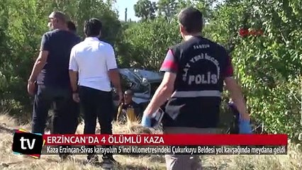 Erzincan'daki feci kazada iki aile yok oldu