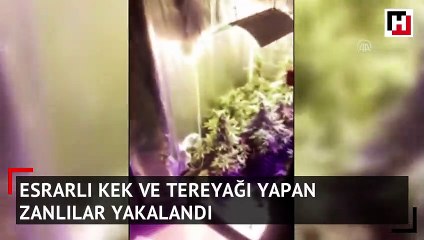 Esrarlı kek ve tereyağı yapmışlar