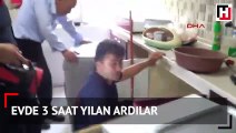 Evde 3 saat yılan aradılar