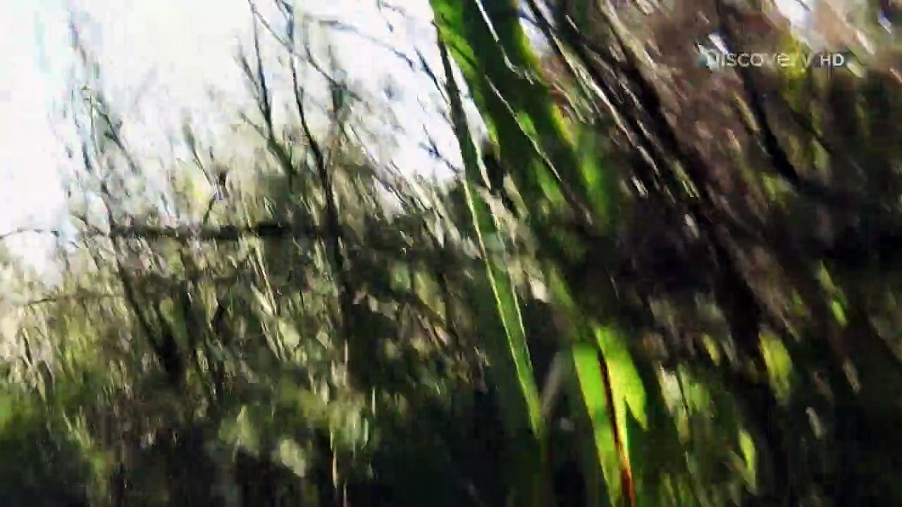 Abenteuer Survival Staffel 8 Folge 5 HD Deutsch