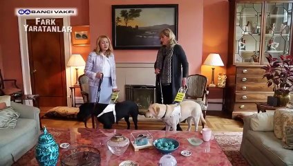 Rehber Köpekler Derneği