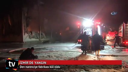 İzmir'de fabrika yangını