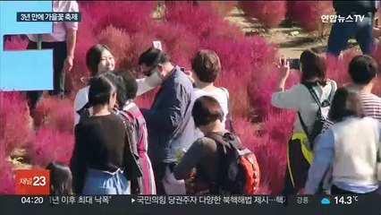 3년 만에 가을꽃 잔치…주 초반 때 이른 추위