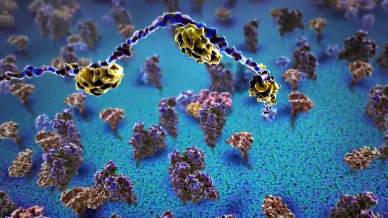 Morgan Freeman Mysterien des Weltalls Staffel 2 Folge 8 HD Deutsch