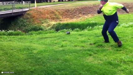 29 Epic Clips Of Animals Getting Into Fights With Humans