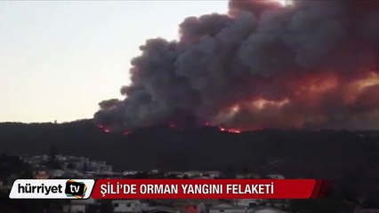 Şili'de orman yangını felaketi