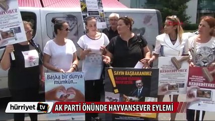 AK Parti önünde hayvansever eylemi