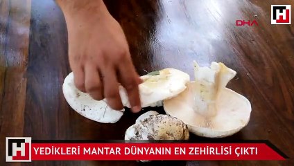 Yedikleri mantar dünyanın en zehirlisi çıktı