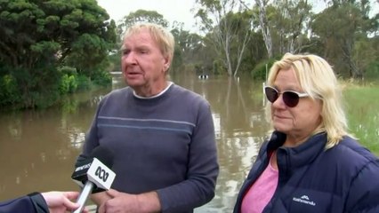 Victorian floods over 12 metres in town of Murchison, damaging up to 50 homes
