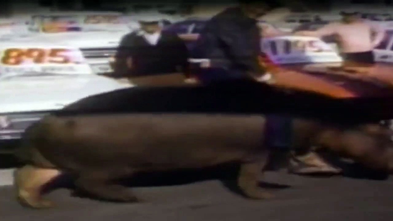 Wunderbare Jahre Staffel 5 Folge 6 HD Deutsch