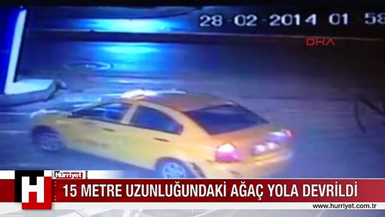 KADIKÖY'DE DEV AĞAÇ CADDE ORTASINA DEVRİLDİ