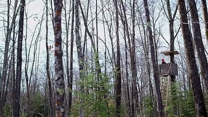 Cold November Bande-annonce (EN)