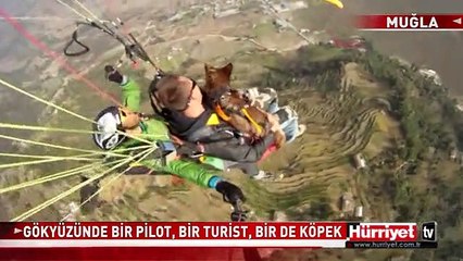 GÖKYÜZÜNDE BİR PİLOT, BİR TURİST, BİR DE KÖPEK