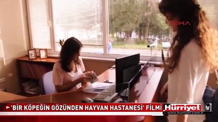 ÜNİVERSİTELİ ÖĞRENCİLER ÇEKTİ..!! BİR KÖPEĞİN GÖZÜNDEN...