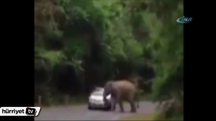 Otomobili hurdaya çevirdi