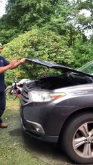 Raccoon Found Hiding Under Car Hood