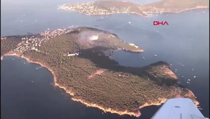 Three detained over Heybeliada forest fire