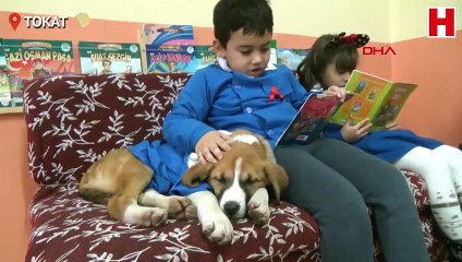 Mezarlıkta bulunan 'Fındık' okulun maskotu oldu