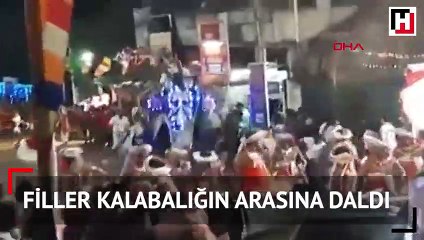 Sri Lanka'da filler kalabalığın arasına daldı: 17 yaralı