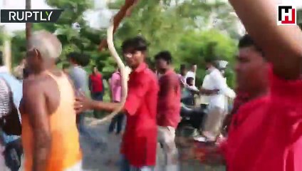 Hindistan’da yılanlı festival