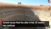 Turkish locals feed fox after it fell 30 meters into sinkhole