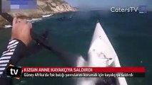 Fok balığı sörfçüye saldırdı