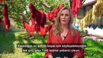 Foreigners describe Turkey in their own languages