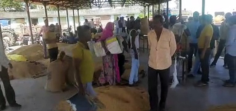 प्रतापगढ़ मण्डी भाव