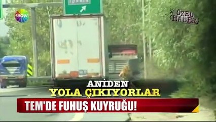 TEM'de fuhuş pazarlığı!