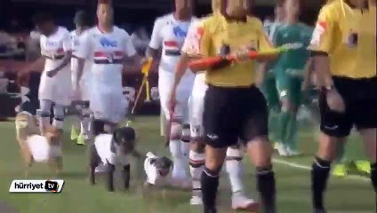 Sahaya köpeklerle çıktılar