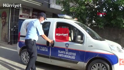 Kulaklı orman baykuşu koruma altına alındı