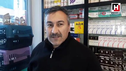 Sürücü, yaralı köpeği veterinere getirip sahiplendi