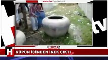 İÇİNDEN ÇIKANI GÖRÜNCE ŞOKE OLDULAR