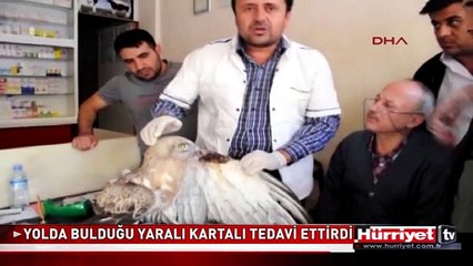 YOLDA BULDUĞU YARALI KARTALI TEDAVİ ETTİRDİ