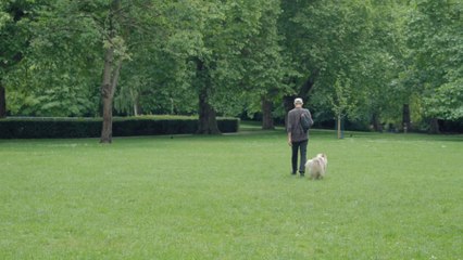 A Man Walks With His Australian Shepherd.