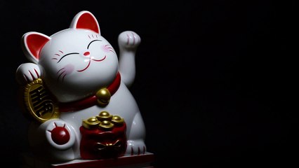 The Lucky Cat
