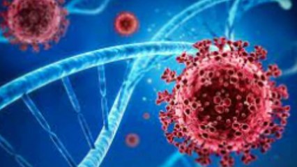 Awas waspada Khosta-2, Virus Baru yang Mirip SARS-CoV-2 mengancam kita