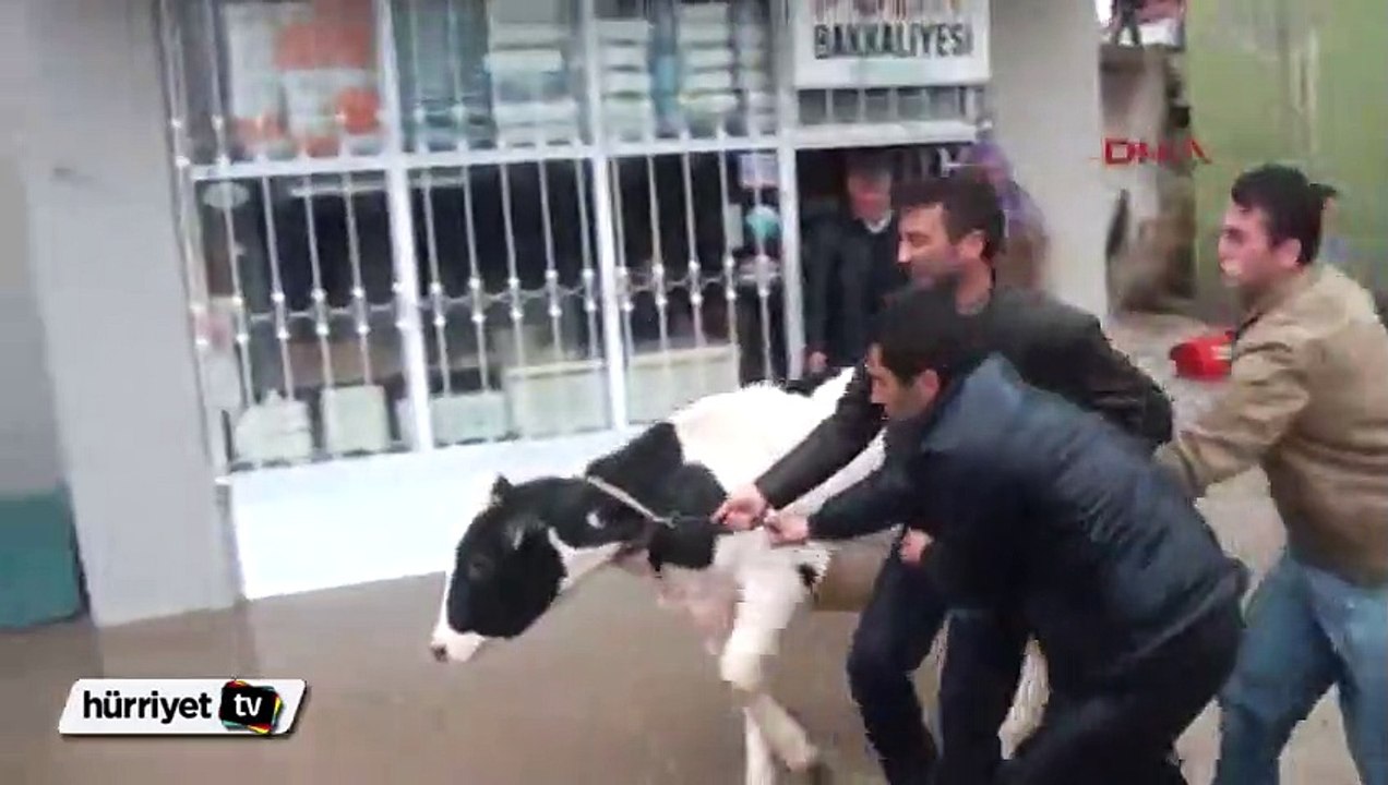 Niğde'de sel baskını