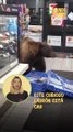 Un travieso ladrón: este oso entró a una tienda para 'robar' chocolates