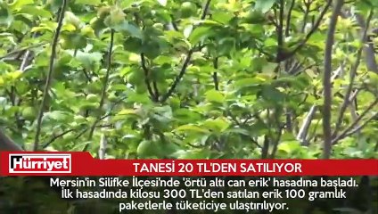 Son 24 saatte ne oldu?