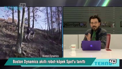 Robot köpek koşmaya hazır