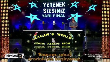 Papağanların gösterisi büyük beğeni topladı