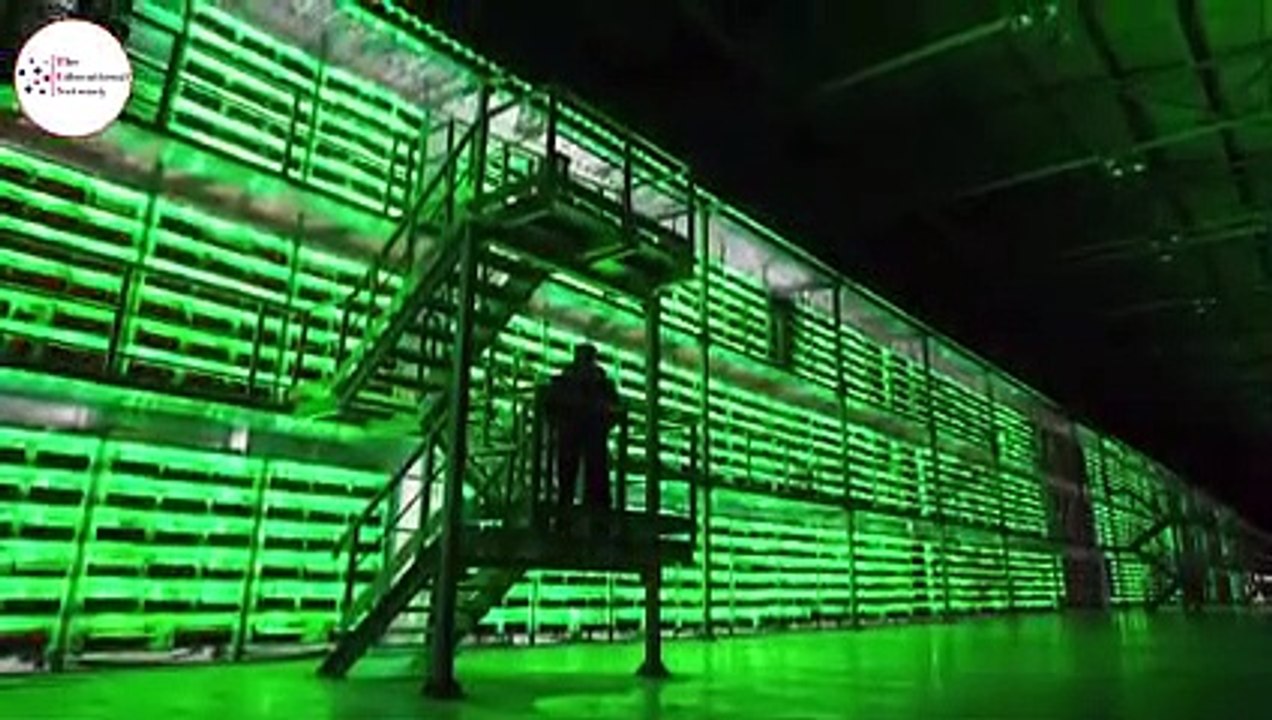 World Biggest Mining setup | Start mining crypto for free| About trends