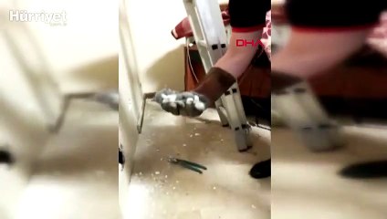 Yavru kediyi kurtarmak için seferber oldular