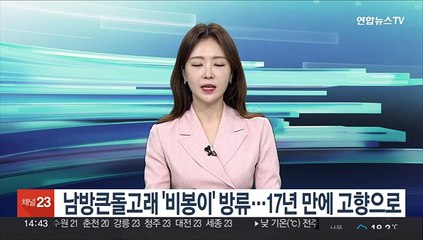 남방큰돌고래 '비봉이' 방류…17년 만에 고향으로