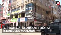 Gri kategoride aranan terörist İstanbul’da yakalandı