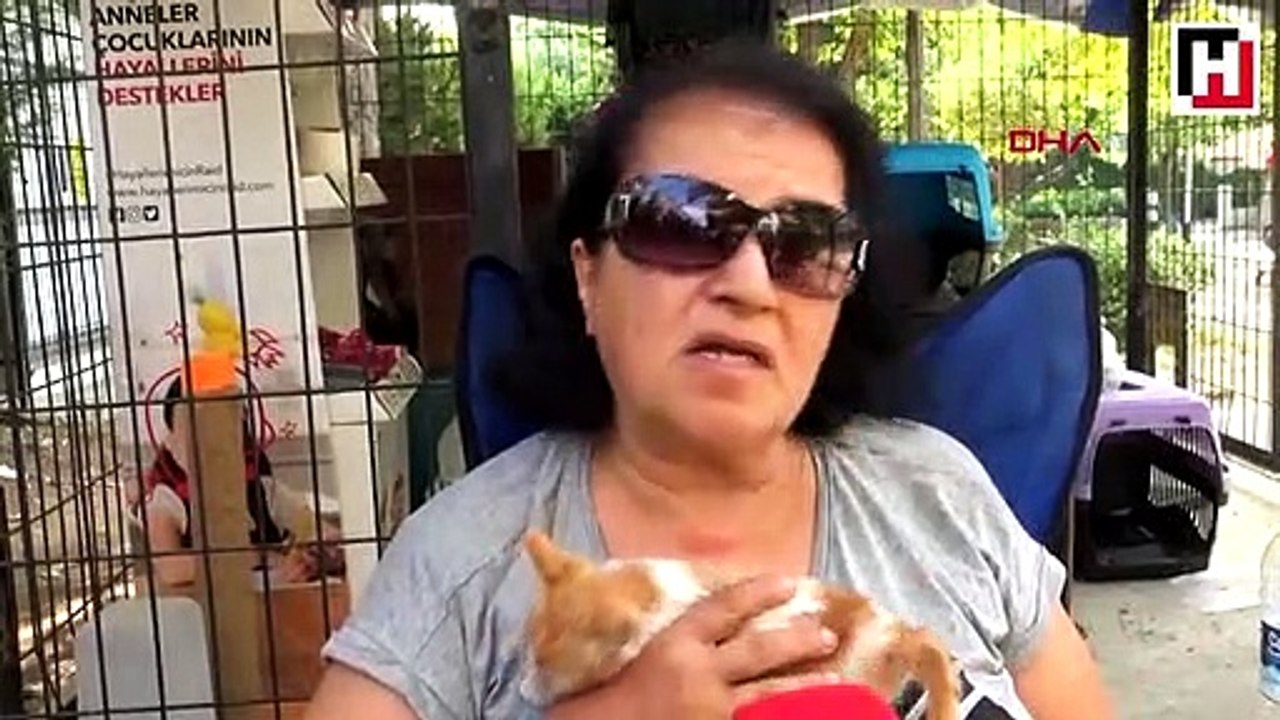 İstanbul Kedi evinin gönüllü bakıcısı