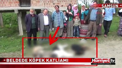 SAMSUN'DA KÖPEK KATLİAMI